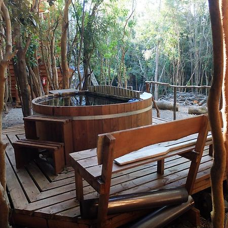Cabanas Ensenada Bosque Nativo Exterior foto