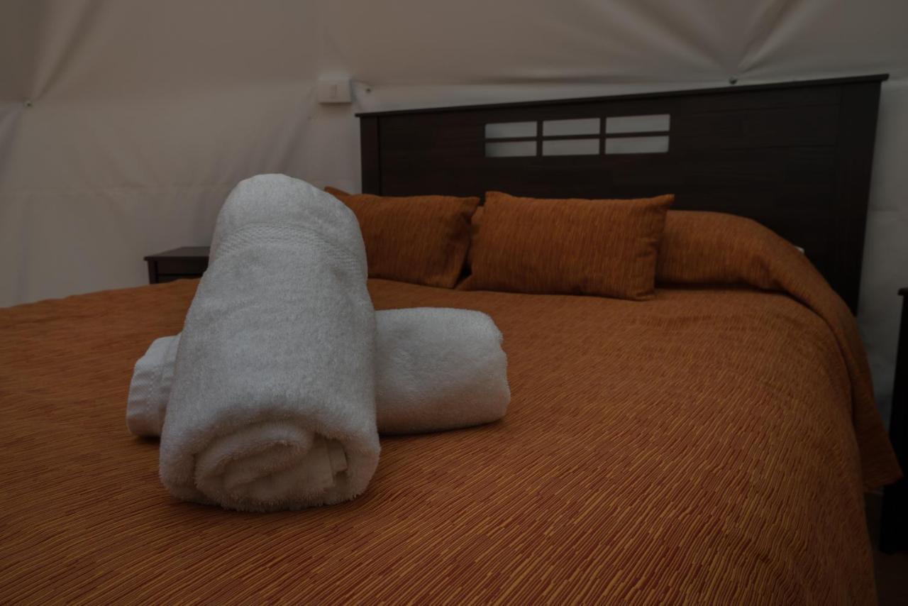 Cabanas Ensenada Bosque Nativo Exterior foto