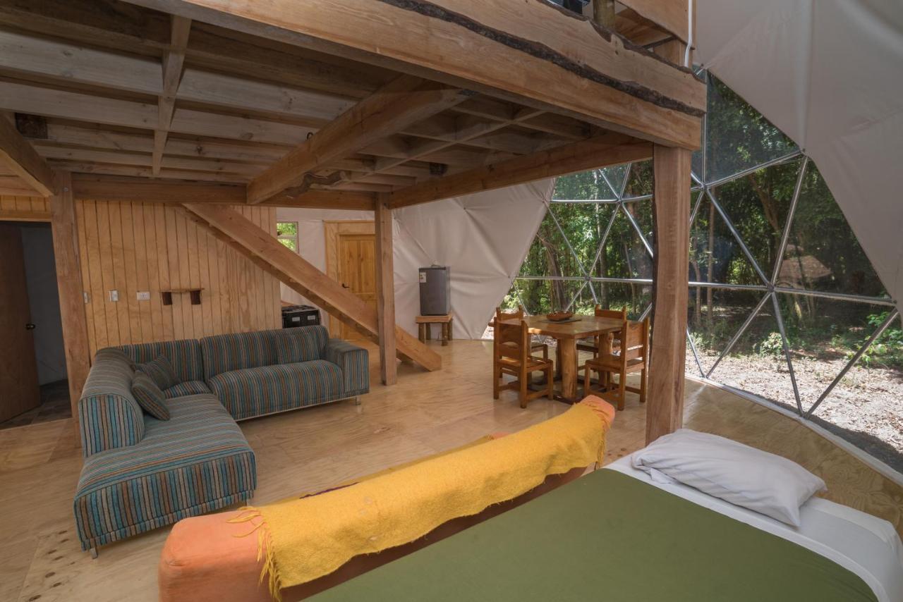 Cabanas Ensenada Bosque Nativo Exterior foto