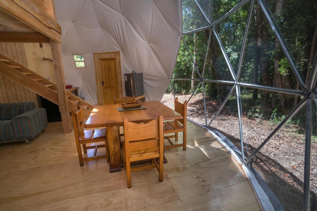 Cabanas Ensenada Bosque Nativo Exterior foto