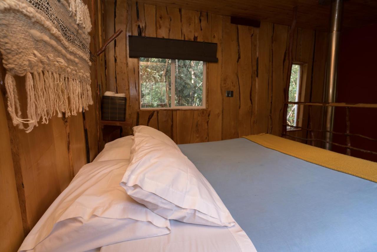 Cabanas Ensenada Bosque Nativo Exterior foto