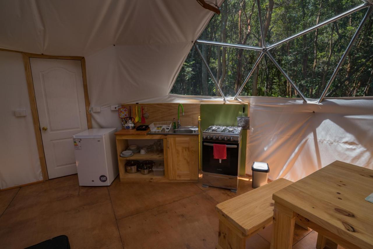 Cabanas Ensenada Bosque Nativo Exterior foto