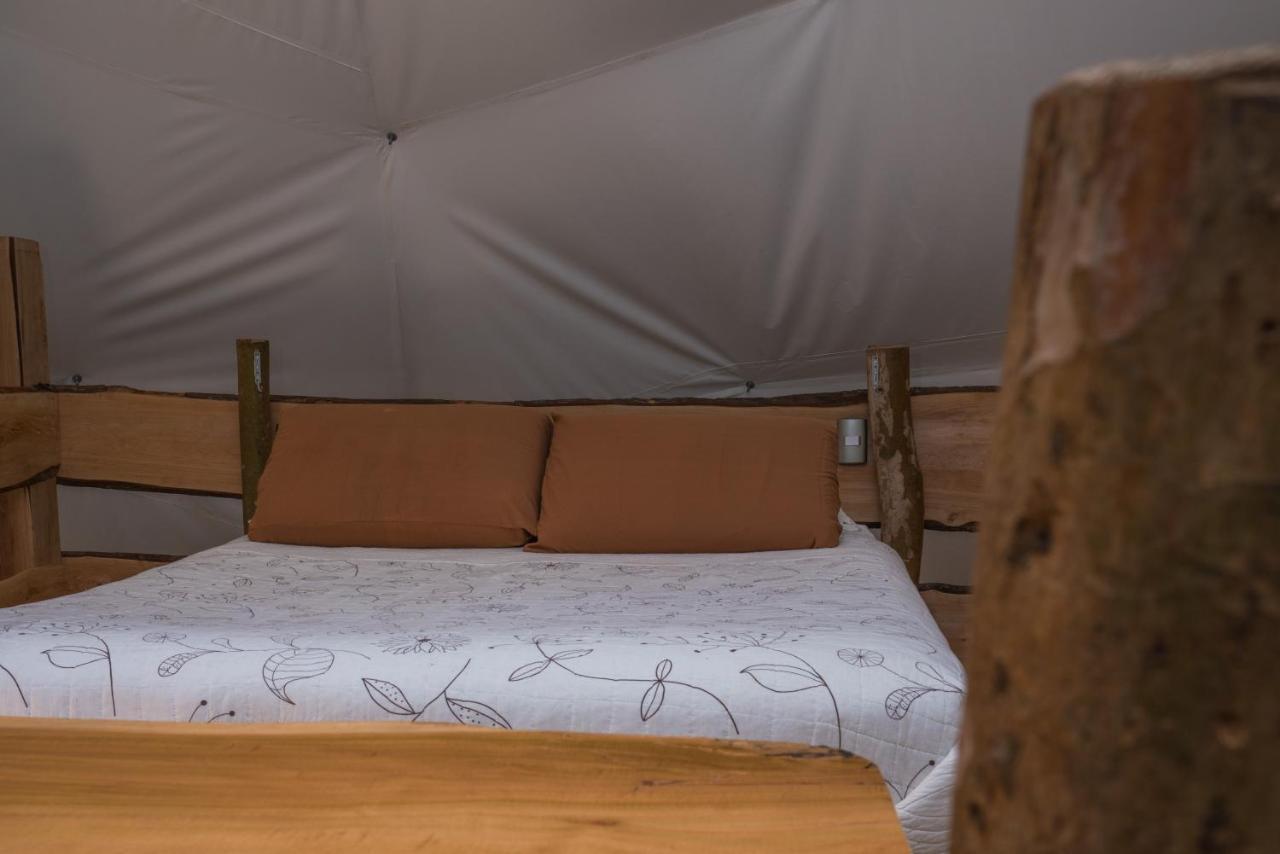 Cabanas Ensenada Bosque Nativo Exterior foto