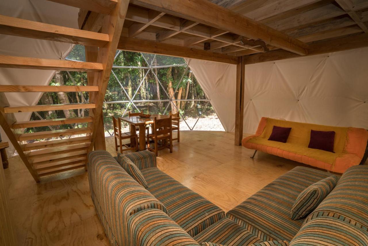 Cabanas Ensenada Bosque Nativo Exterior foto