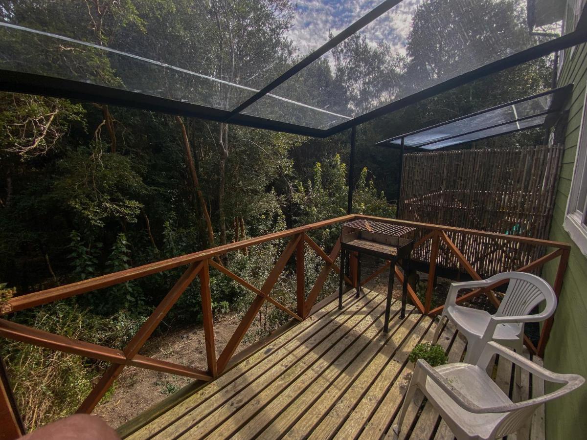 Cabanas Ensenada Bosque Nativo Exterior foto