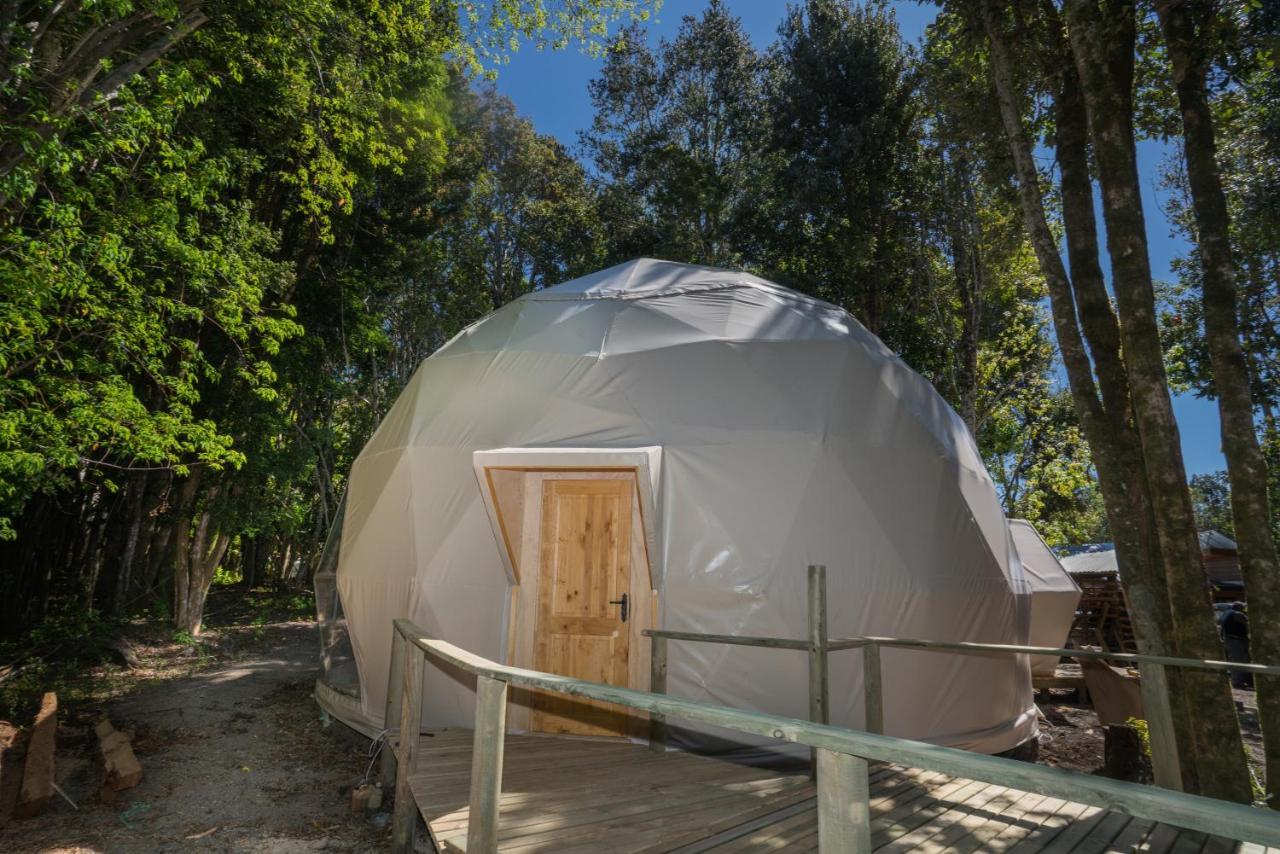 Cabanas Ensenada Bosque Nativo Exterior foto