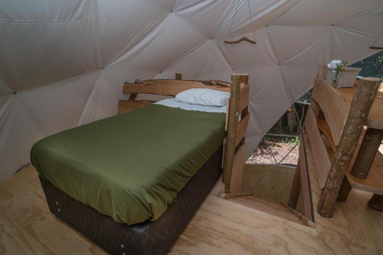 Cabanas Ensenada Bosque Nativo Exterior foto