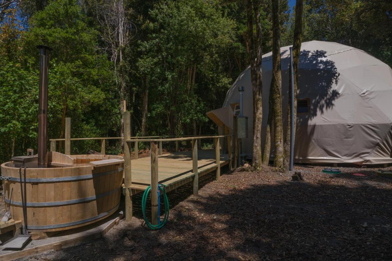 Cabanas Ensenada Bosque Nativo Exterior foto