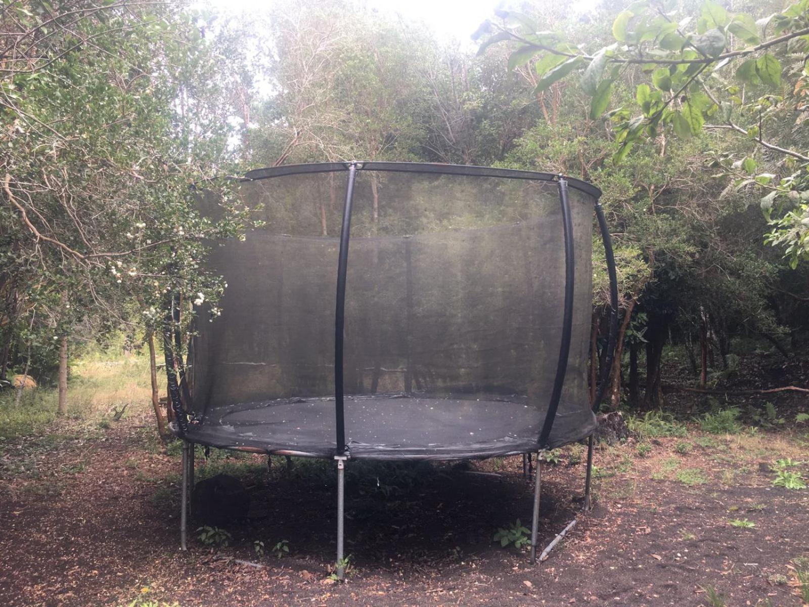 Cabanas Ensenada Bosque Nativo Exterior foto