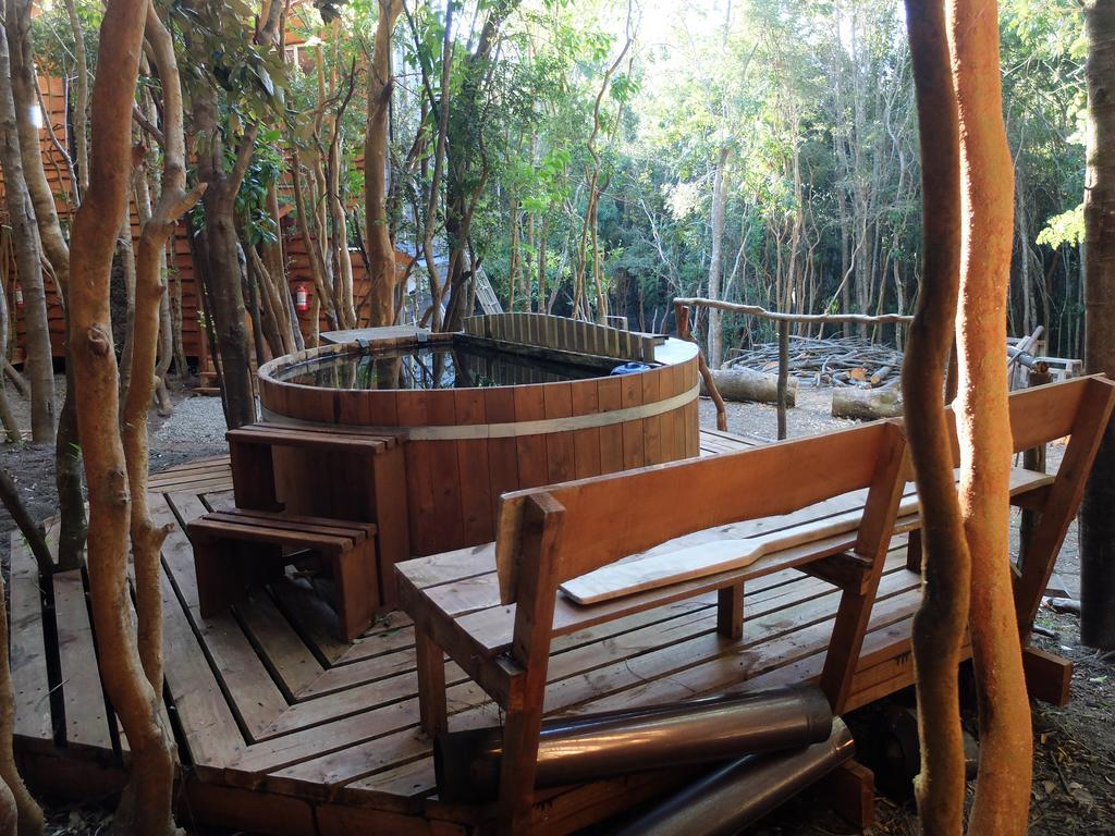 Cabanas Ensenada Bosque Nativo Exterior foto