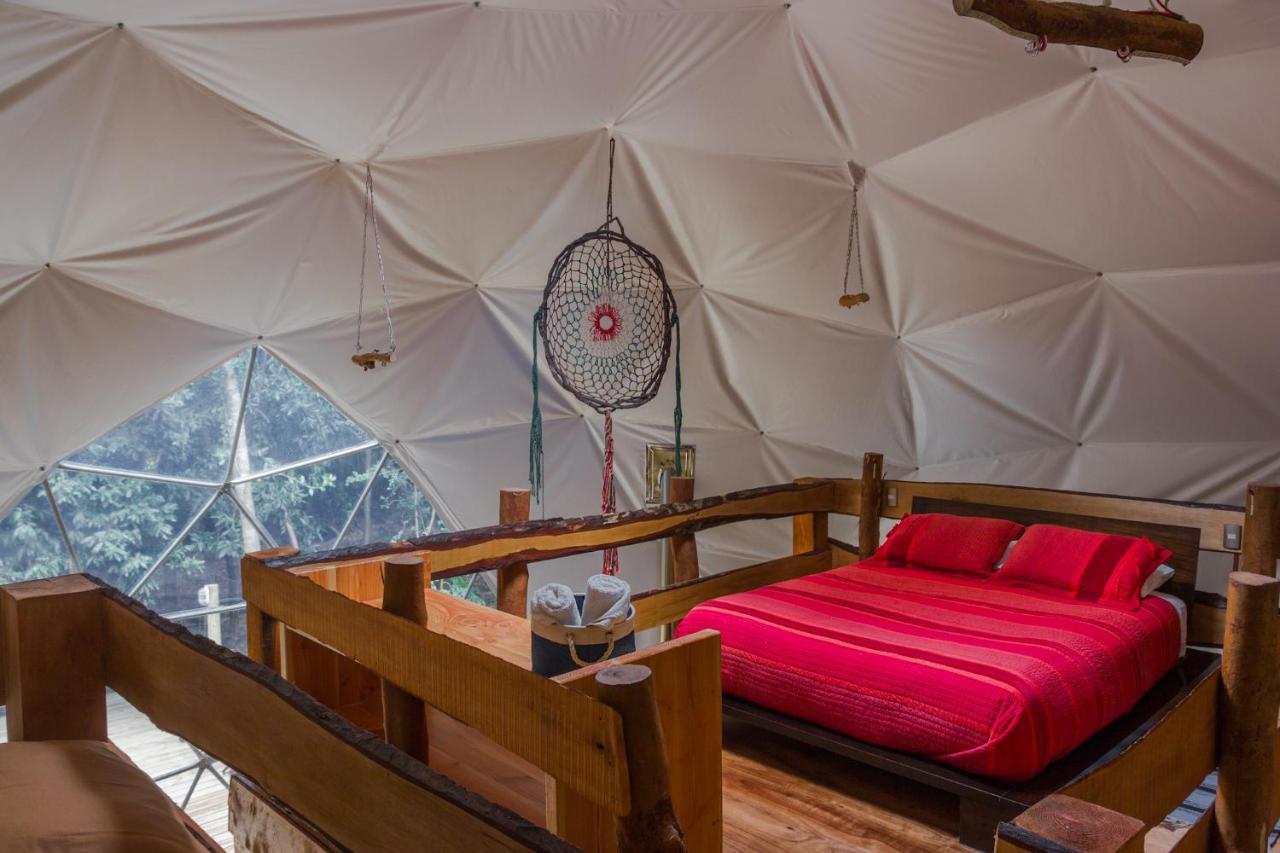 Cabanas Ensenada Bosque Nativo Exterior foto