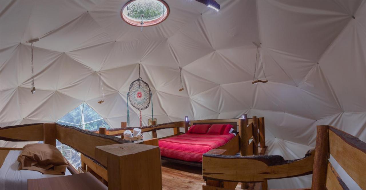 Cabanas Ensenada Bosque Nativo Exterior foto