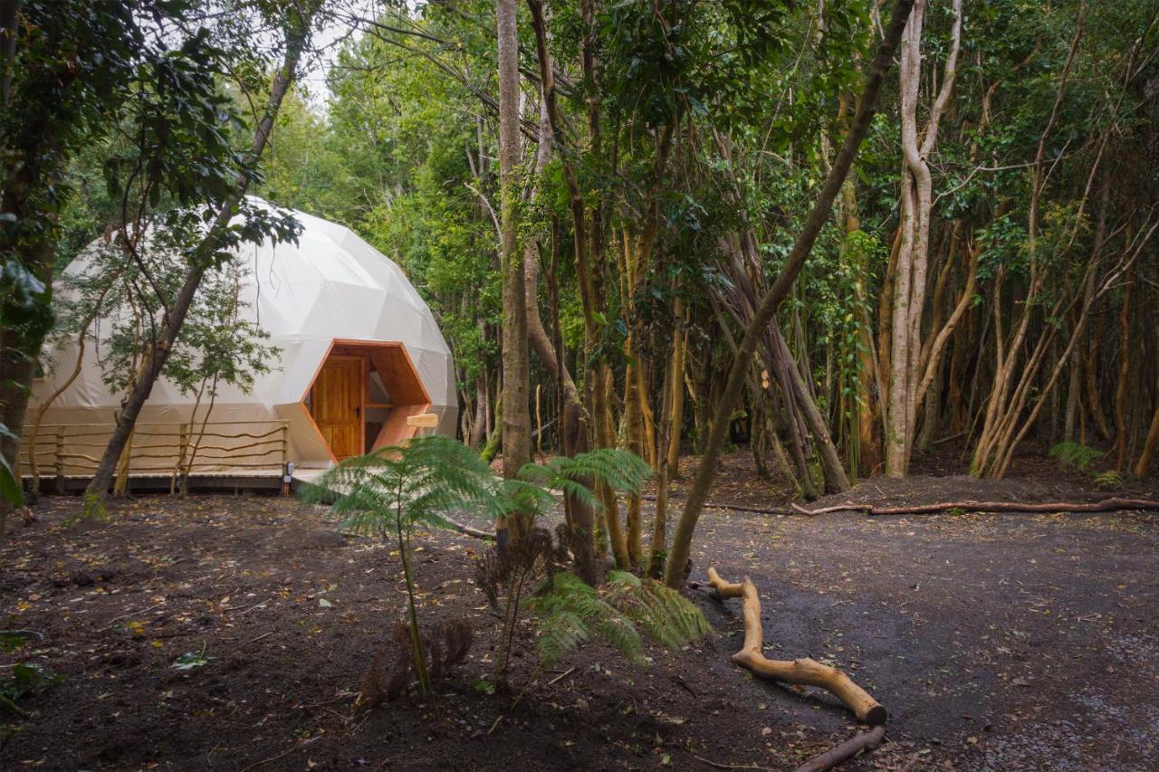 Cabanas Ensenada Bosque Nativo Exterior foto