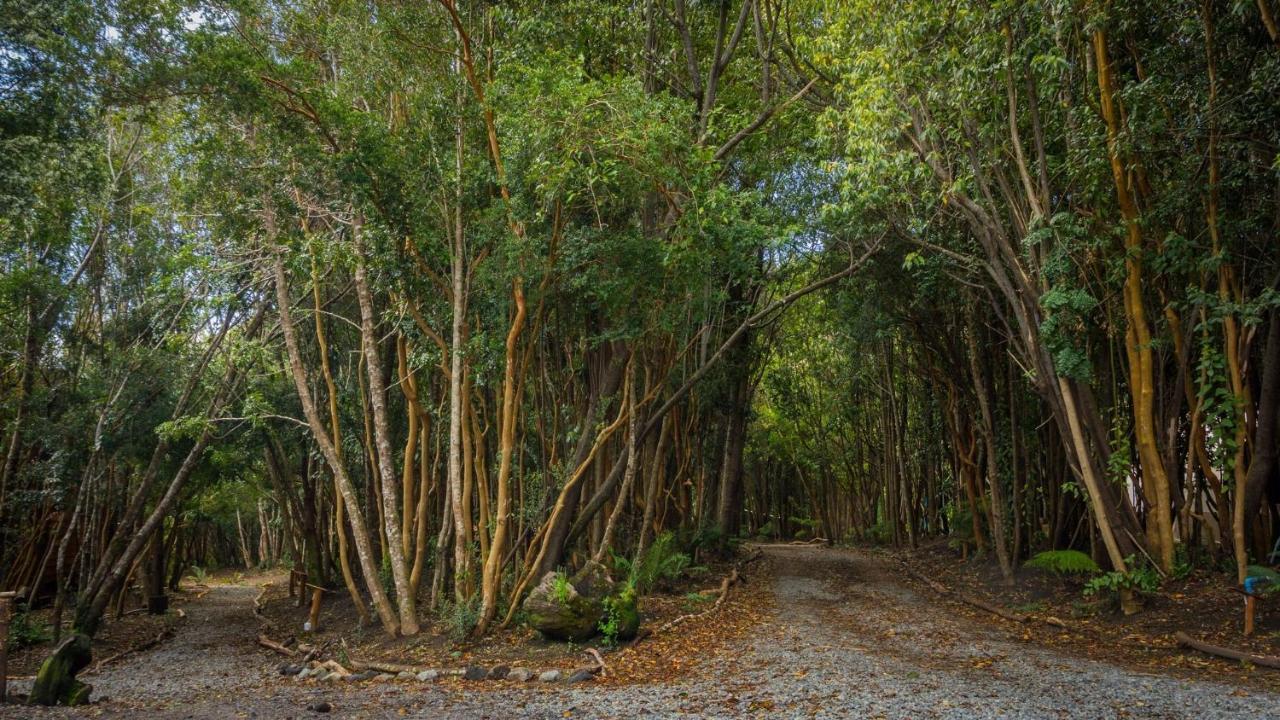 Cabanas Ensenada Bosque Nativo Exterior foto